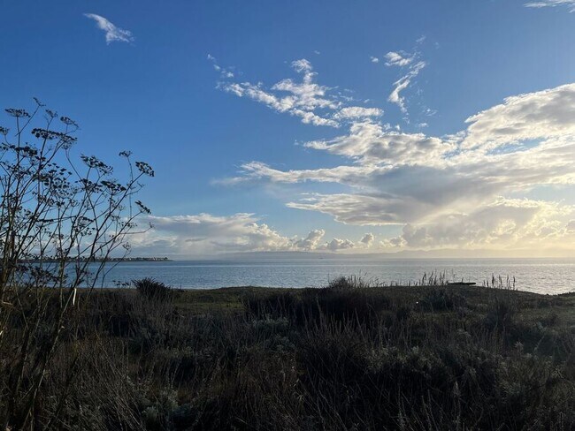 Building Photo - 1707 Shore Line Dr