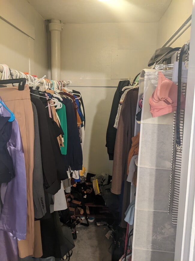 walk in closet - 55 E Central St