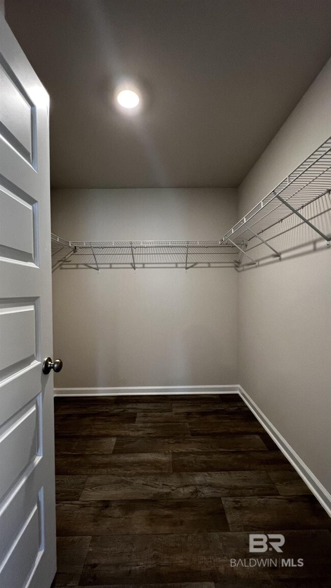 Building Photo - 11207 Elemis Dr