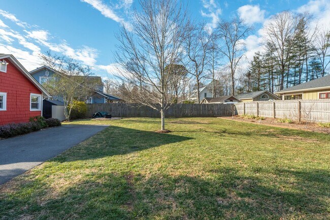 Building Photo - Charming Black Mountain Rental!