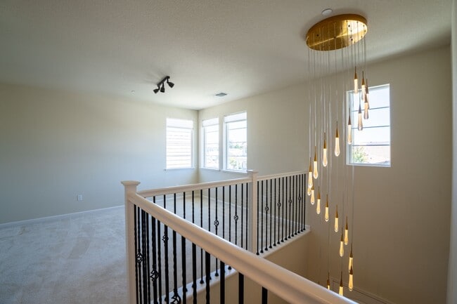 Building Photo - 3625 Blue Bird Dr