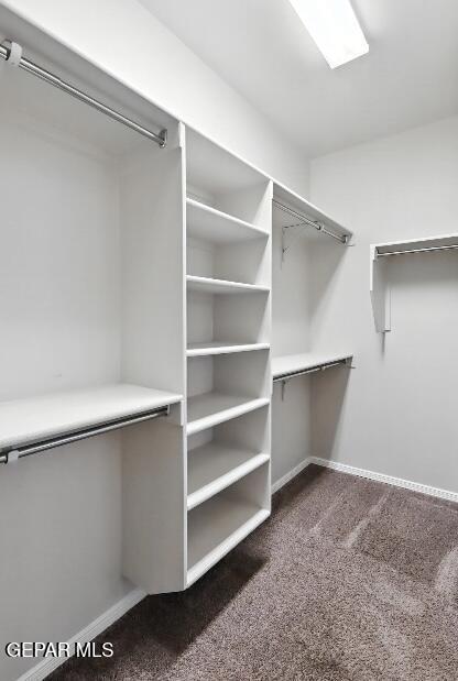Building Photo - 1126 Gaitan St