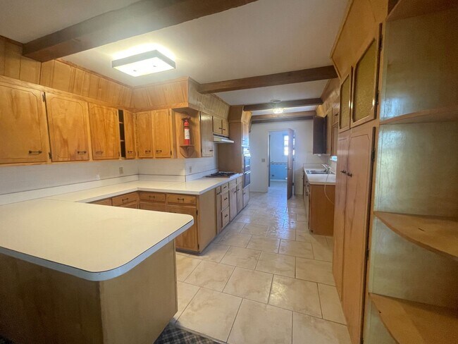 Building Photo - Large 4 Bed 2 Bath on Chapman DR