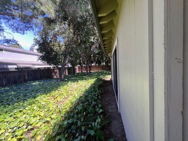 Building Photo - 3 Bed End Unit in Mt. View