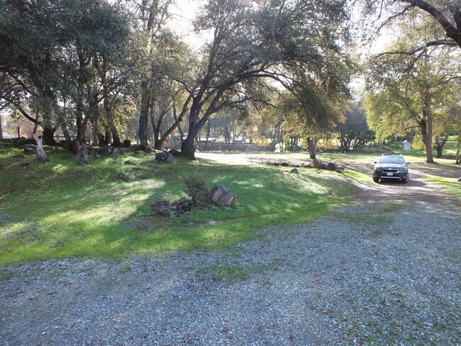 Building Photo - 2/1 1200 sf Rescue retreat - water included!