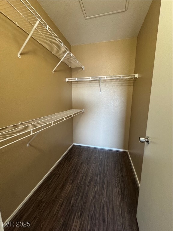 Building Photo - 45 Maleena Mesa St