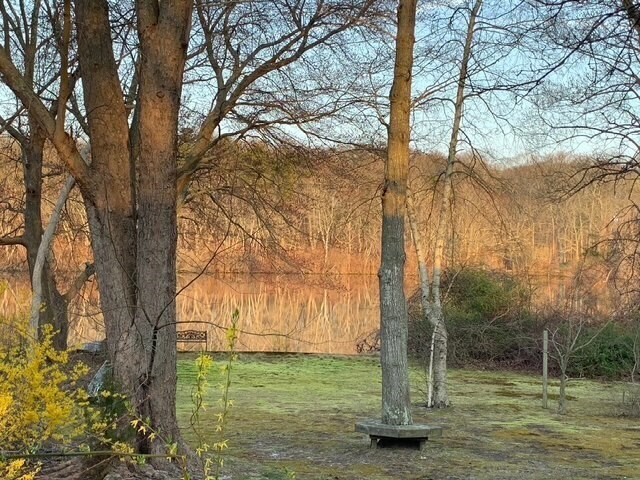 Building Photo - 10 Mill Pond Ln