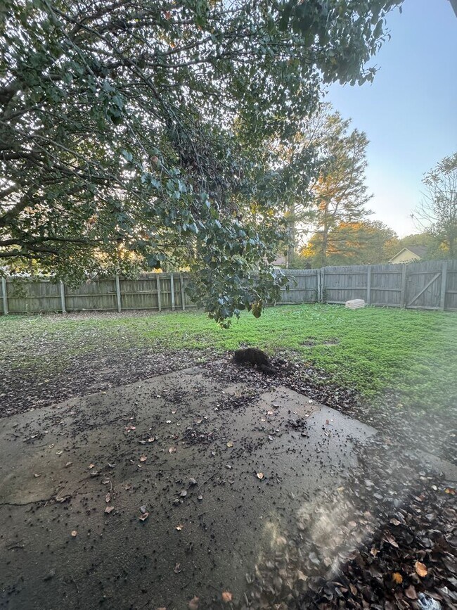 Building Photo - 3 Bed / 2 Bath Available Now