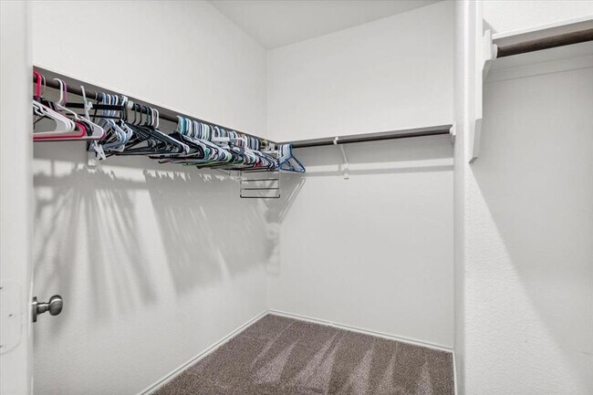 Building Photo - 2313 Forgetmenot Ln