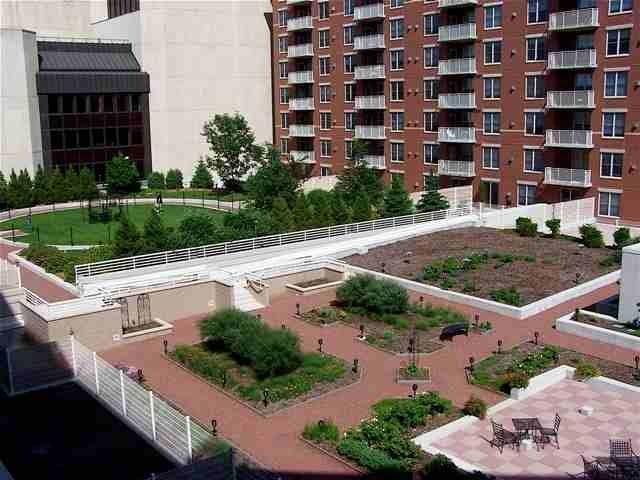 rooftop garden and grilling area - 360 W Washington Ave