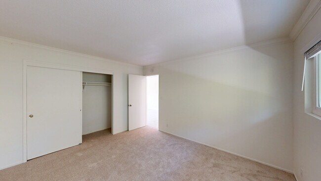 Building Photo - 1004 Ignacio Blvd
