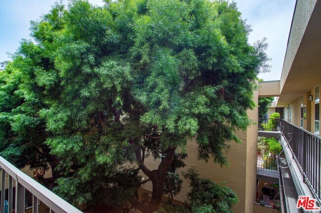 Building Photo - 2311 4th St