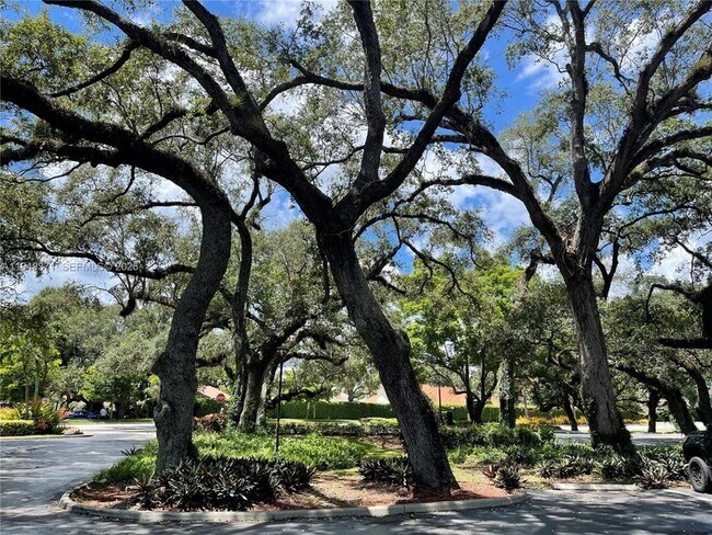 Building Photo - 1831 Sabal Palm Dr