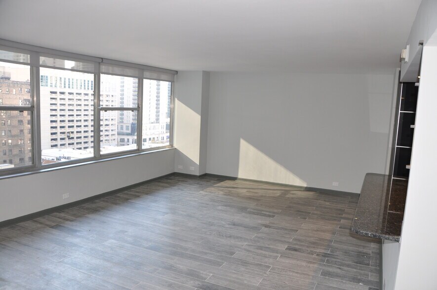 Living Room - 1000 N Lake Shore Dr