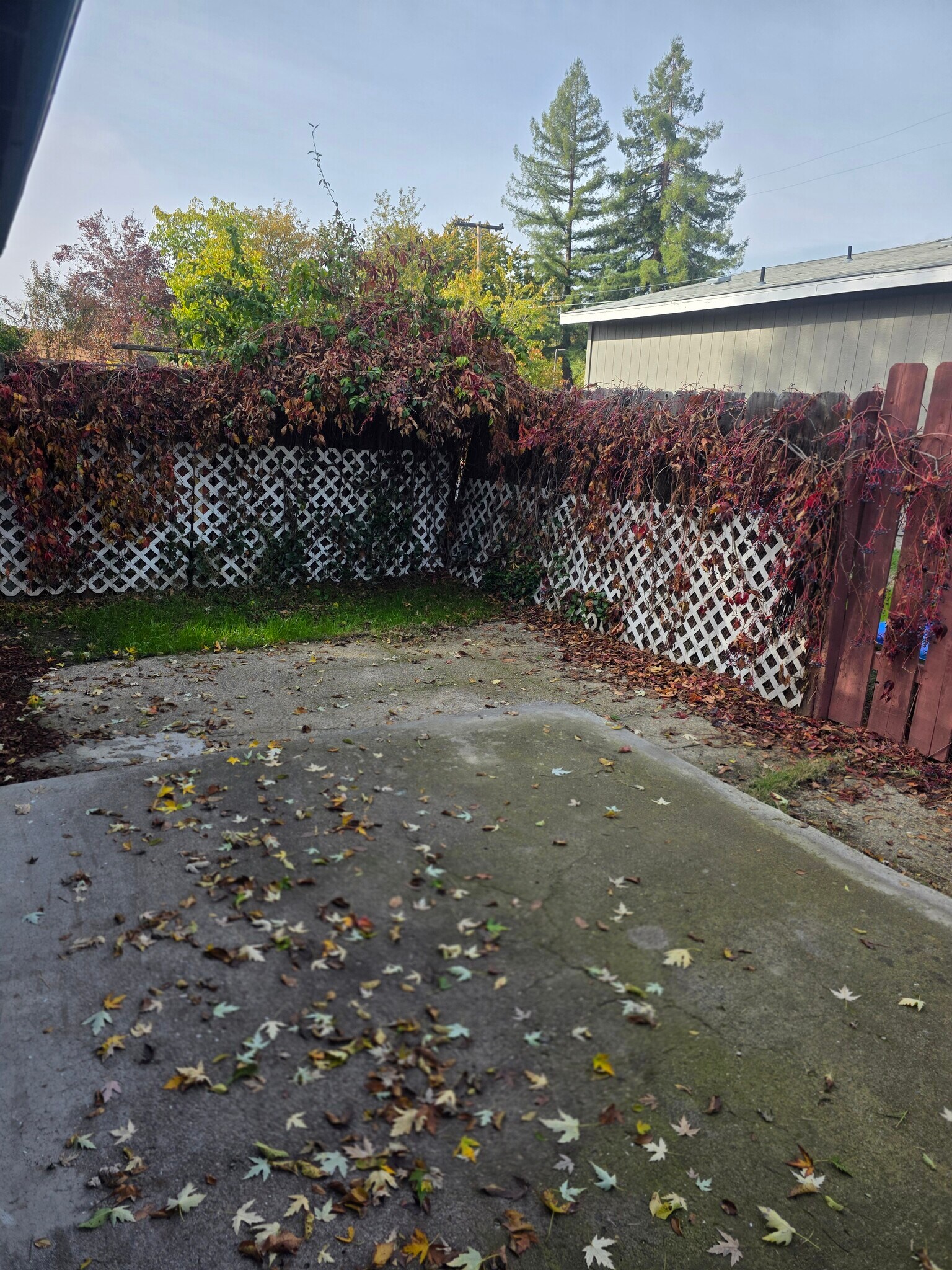 Building Photo - 534 Hamilton St