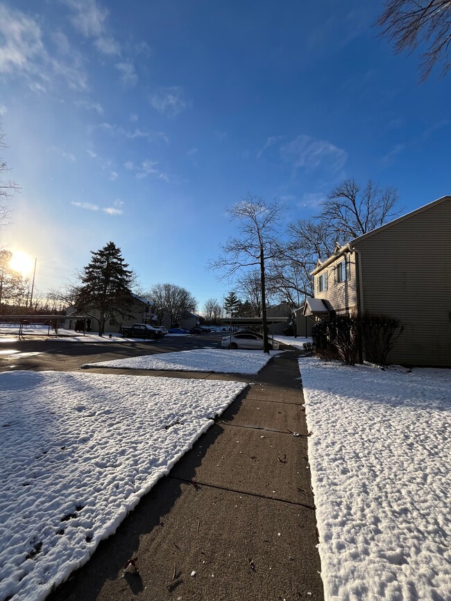 View from Front Door - 1534 Streamwood Ct