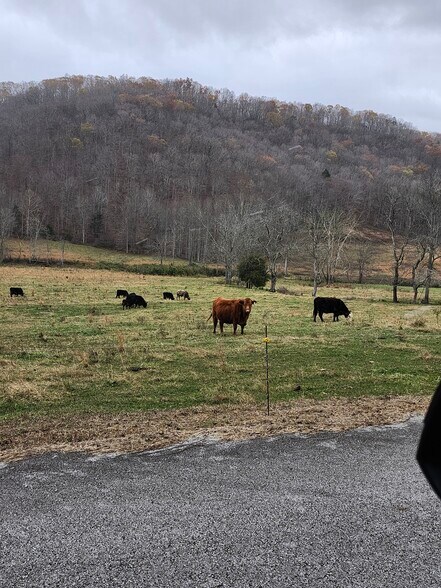 Building Photo - 5269 Vardy Blackwater