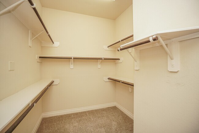 Building Photo - 1215 Watercrest Park Ln