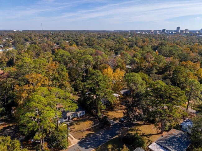 Building Photo - 1707 Hall Dr