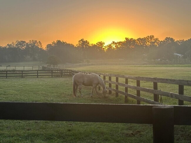 Building Photo - Beautiful 11.16 Acre Farm with Lots of Amenities!