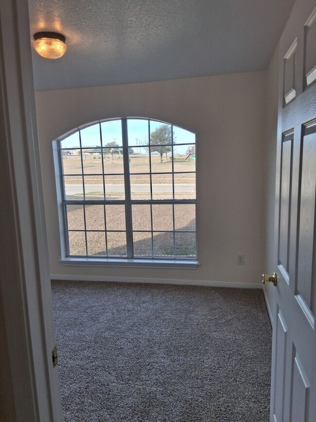 Building Photo - New Carpet & Paint