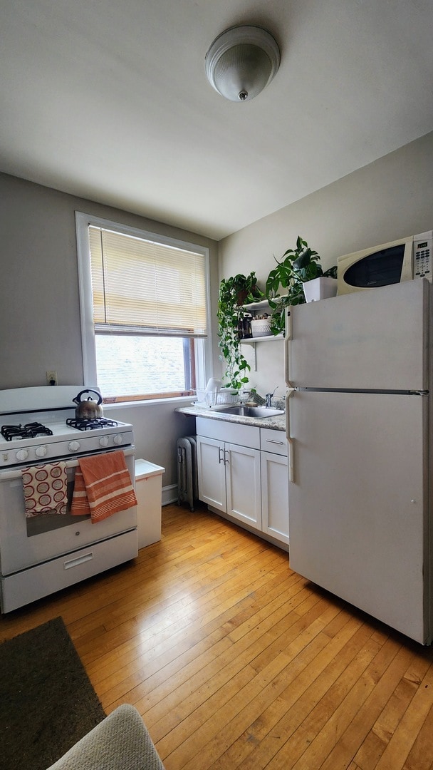 Building Photo - 1919 W Berteau Ave