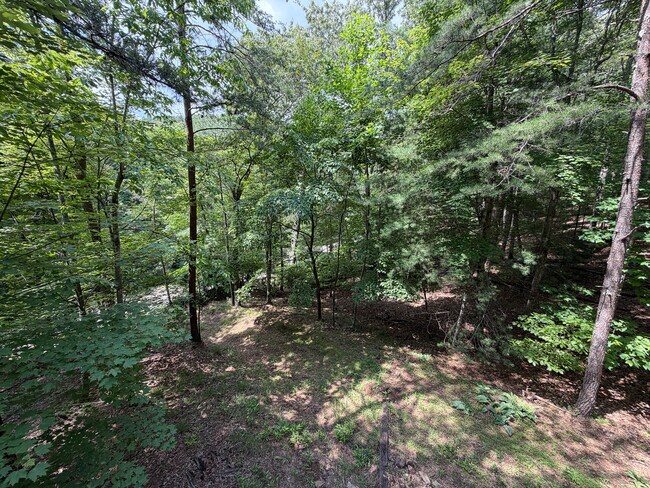 Building Photo - 1253 Tipton Springs Rd