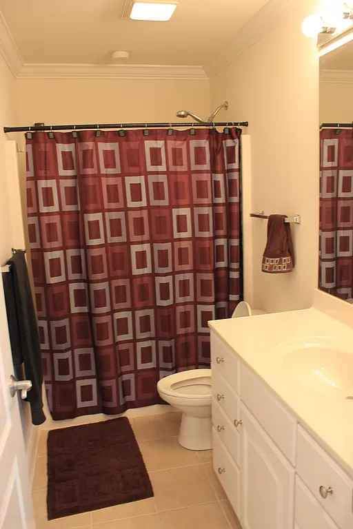 guest bath - 2418 Madeline Meadow Dr