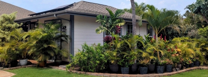 Building Photo - 170 Kuli Puu St