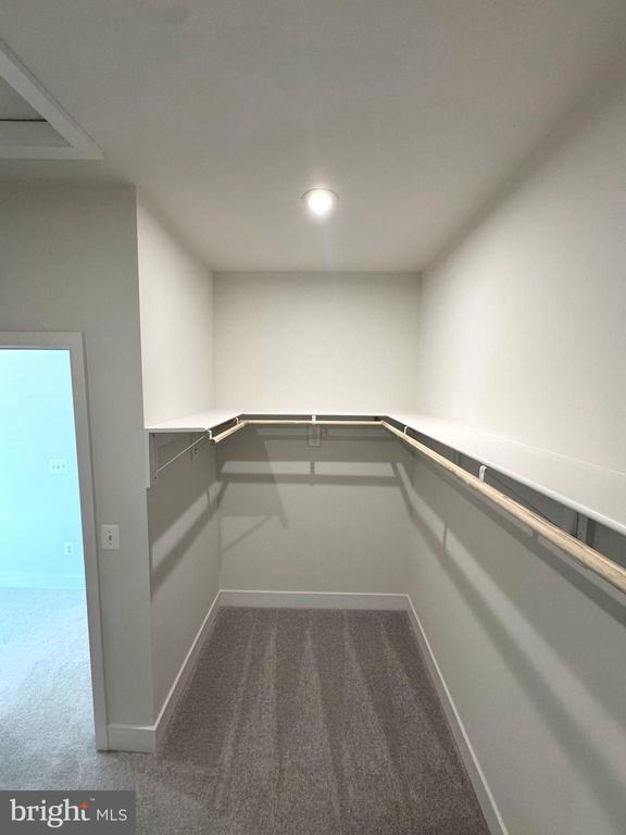 Building Photo - 133 Galaxy Pl