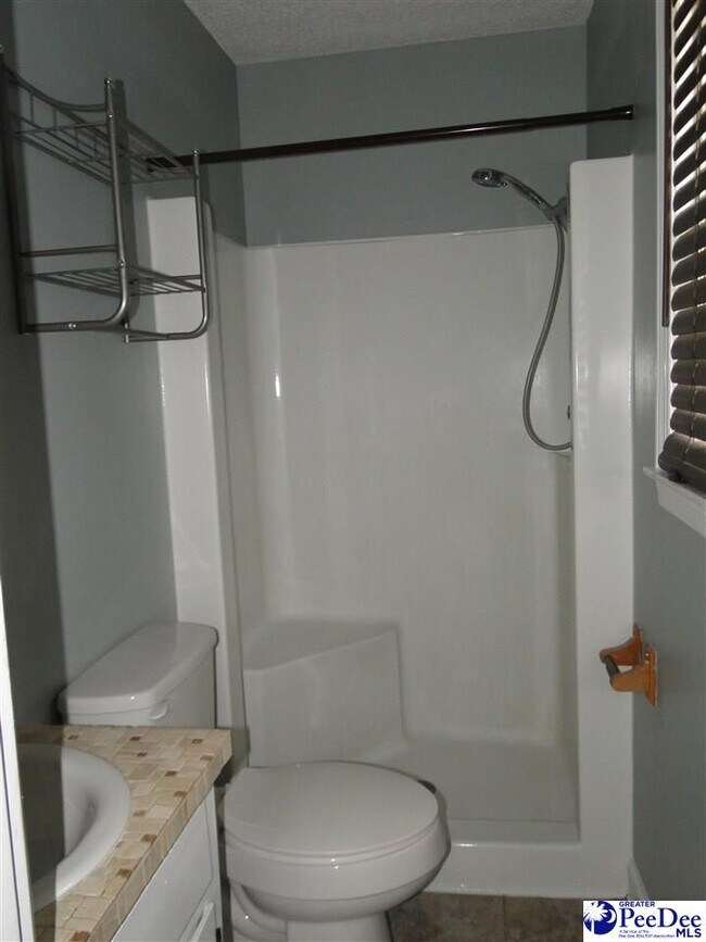 Building Photo - 218 Honeysuckle Ln