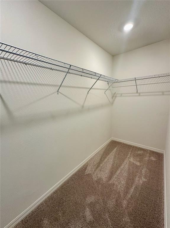 Building Photo - 160 Cypress Knees Dr