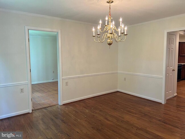 Building Photo - 10101 Alsace Ct