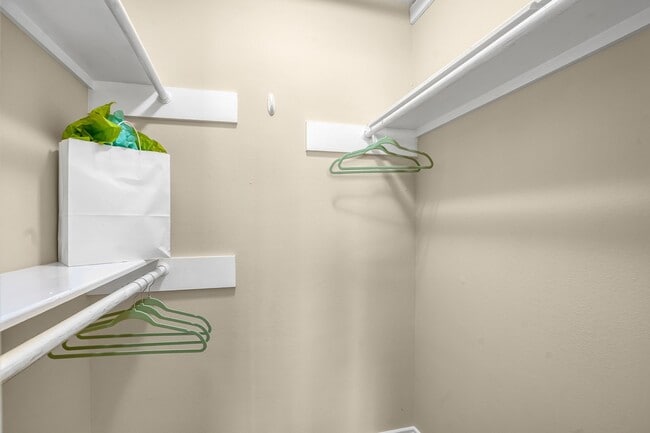 Building Photo - 3500 Tangle Brush Dr