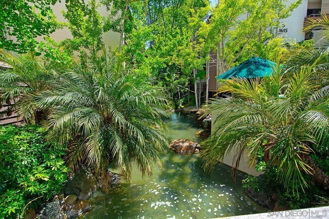 Pond - 1605 Hotel Cir S