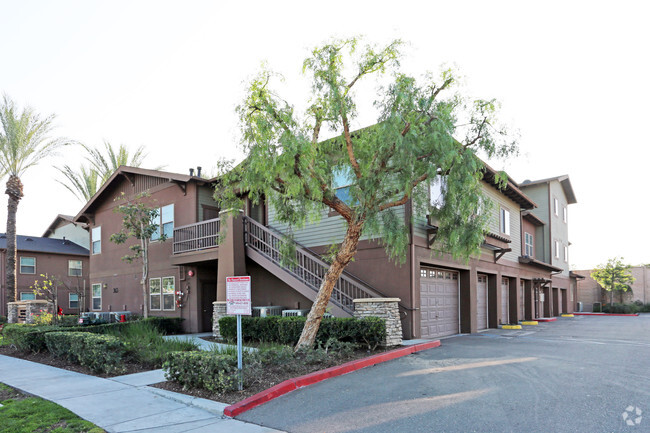 Primary Photo - The Vineyard Townhomes