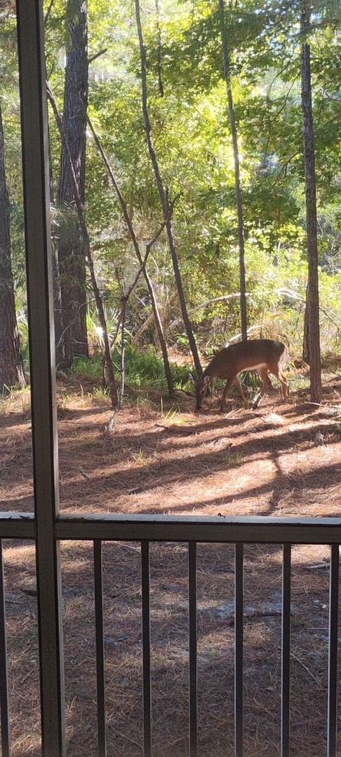 Building Photo - 1 Bed / 1.5 Bath – Magnolia Place | 2-Story Unit in GREAT LOCATION!