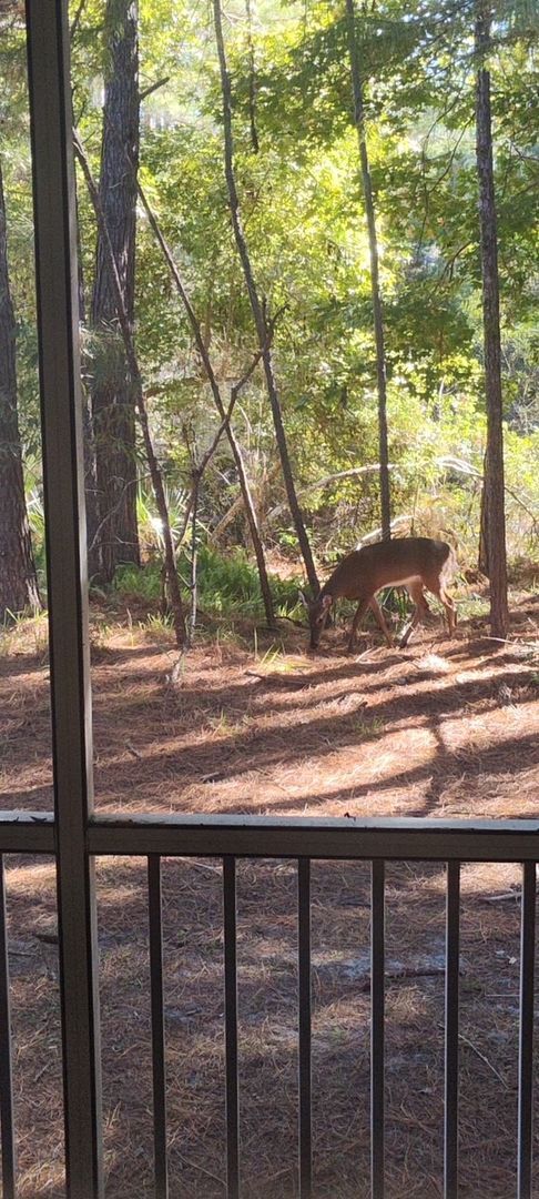 Building Photo - 1 Bed / 1.5 Bath – Magnolia Place