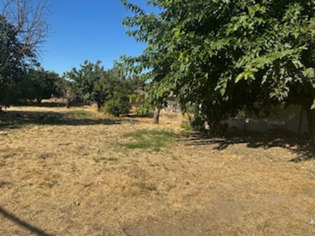 Building Photo - NEW NEW NEW! 3 BEDROOM 1 BATH IN KINGSBURG