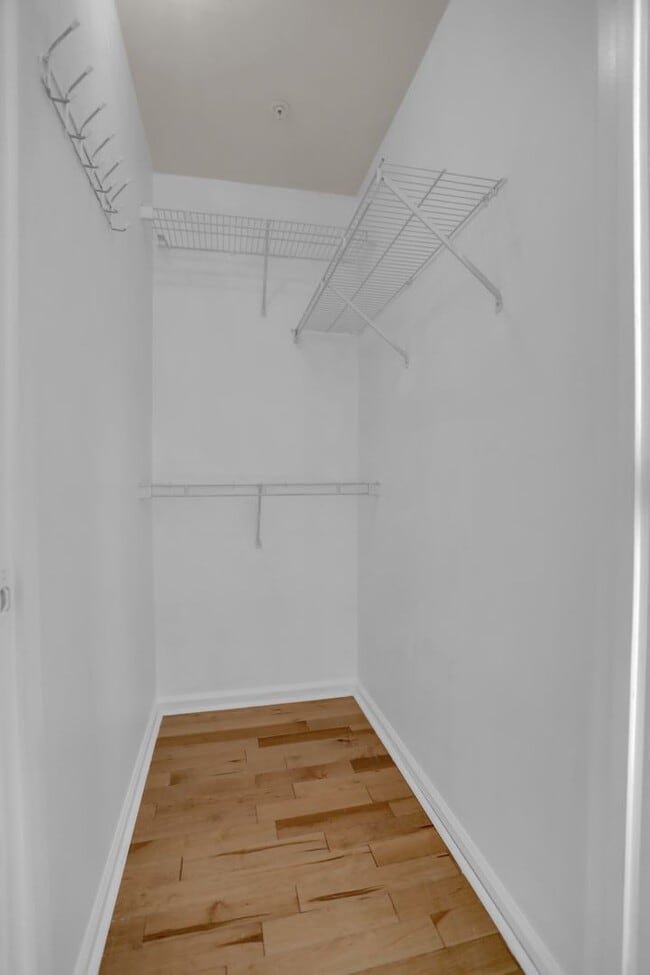 Building Photo - 3902 Cotton Tree Ln