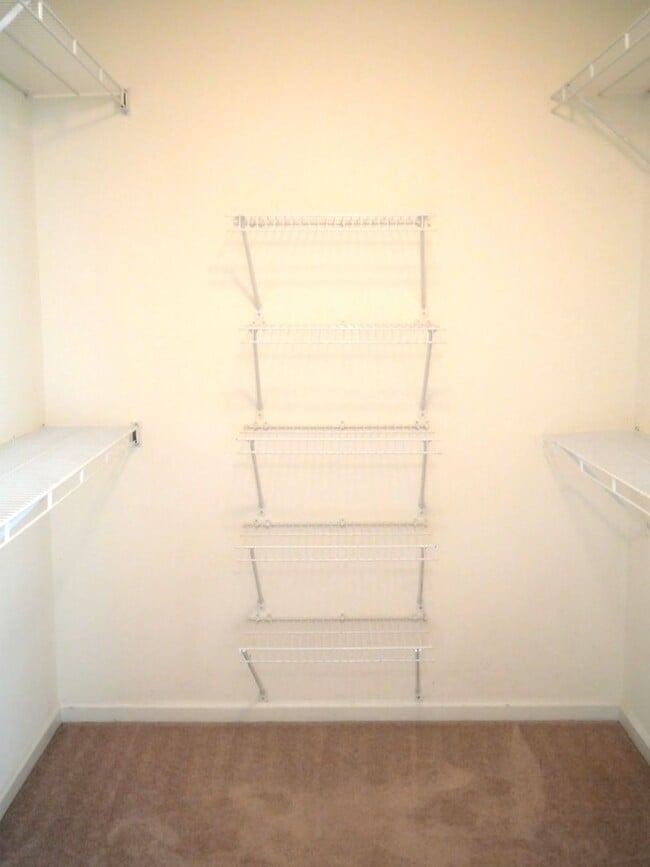 Building Photo - 113 Amelia Ct