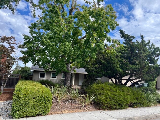 Building Photo - 519 Drucilla Dr