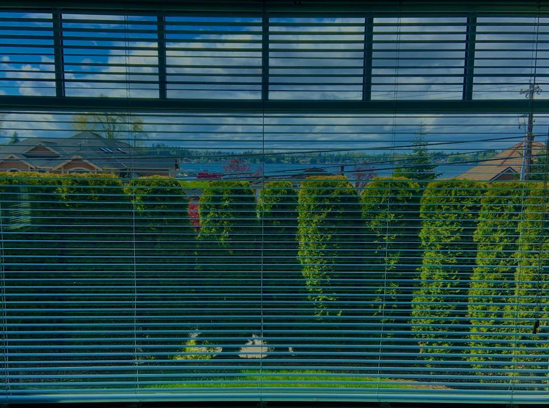 Daylight View - 823 E Lakeshore Dr