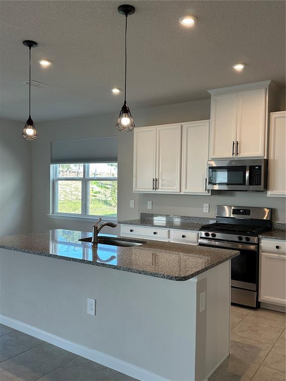 Building Photo - 3785 Blue Mountain Wy