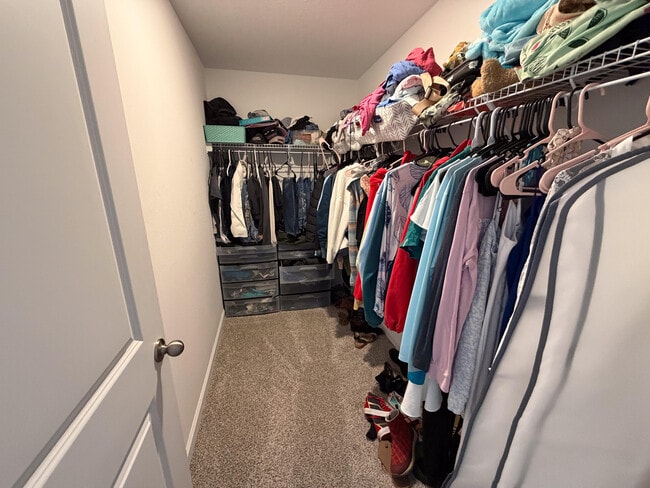 Building Photo - 676 Salisbury Cir