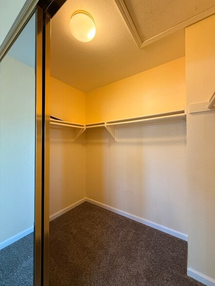 Master bedroom, walk-in closet - 3326 Amberfield Cir