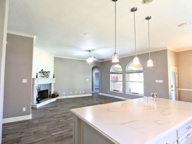 Building Photo - 2630 White Ibis Ct