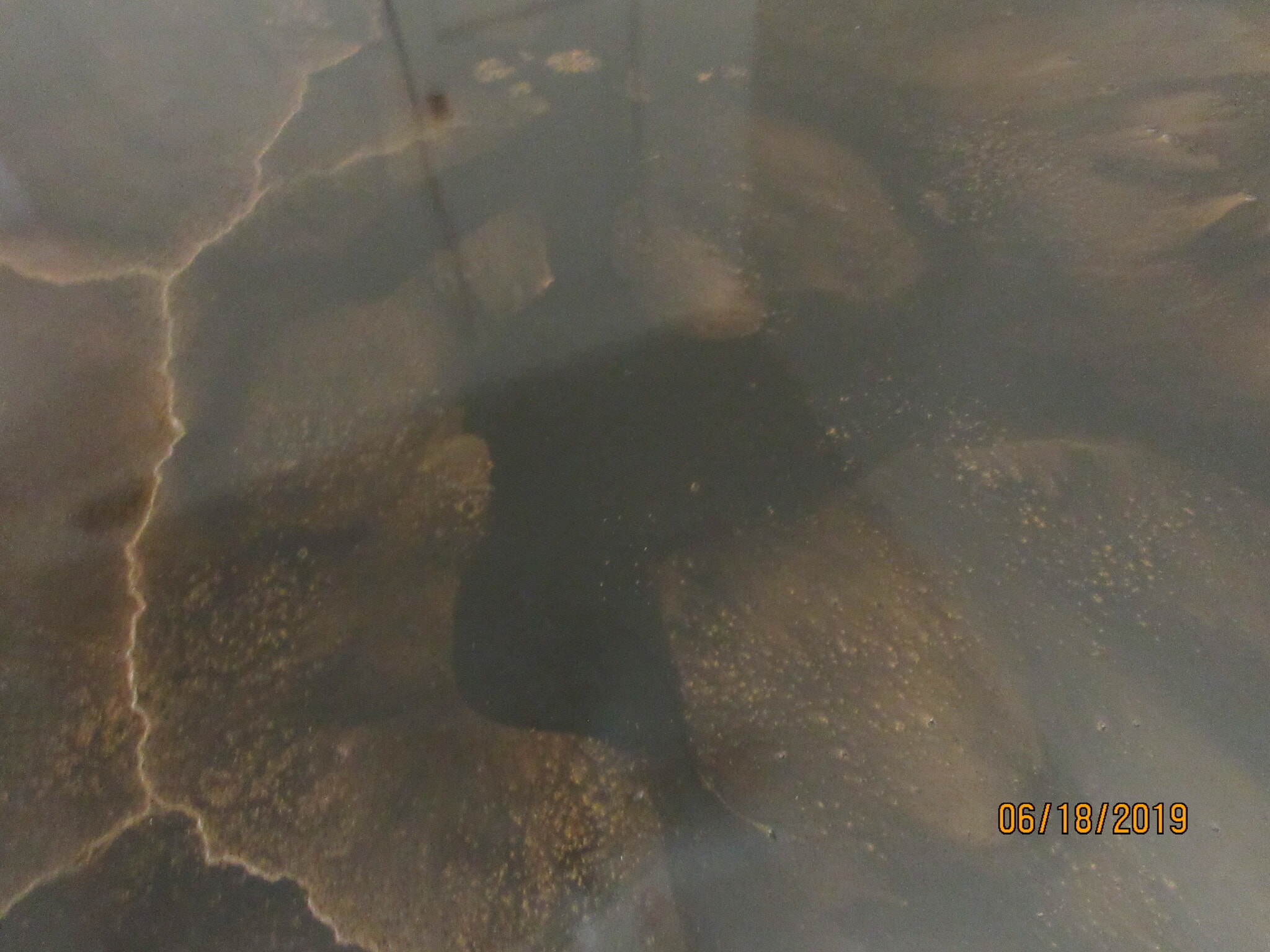 Building Photo - 223 W Turney Ave