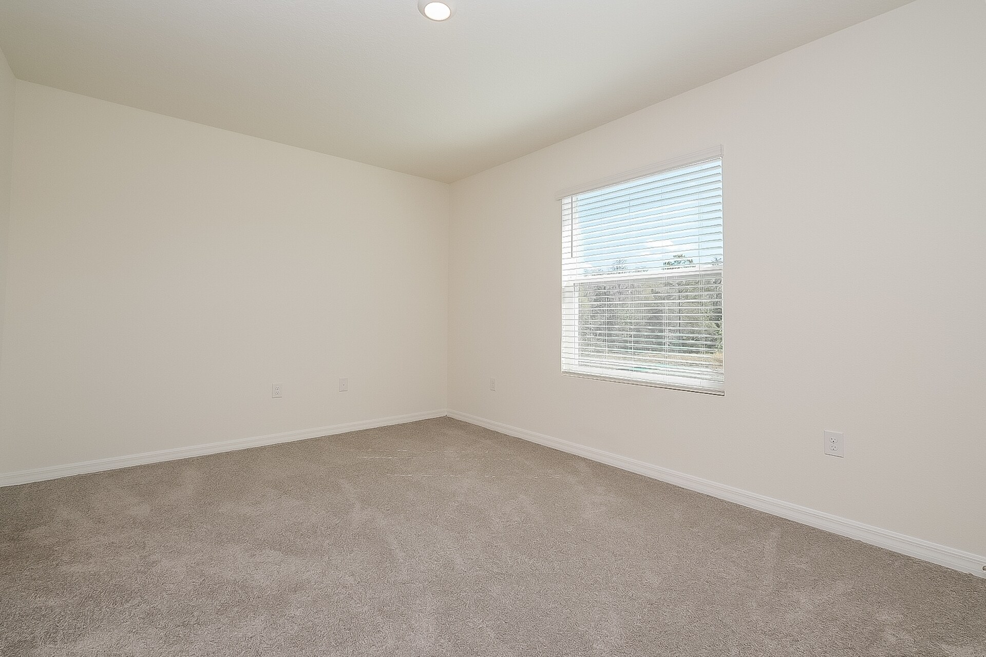Building Photo - 1594 Colt Creek Pl