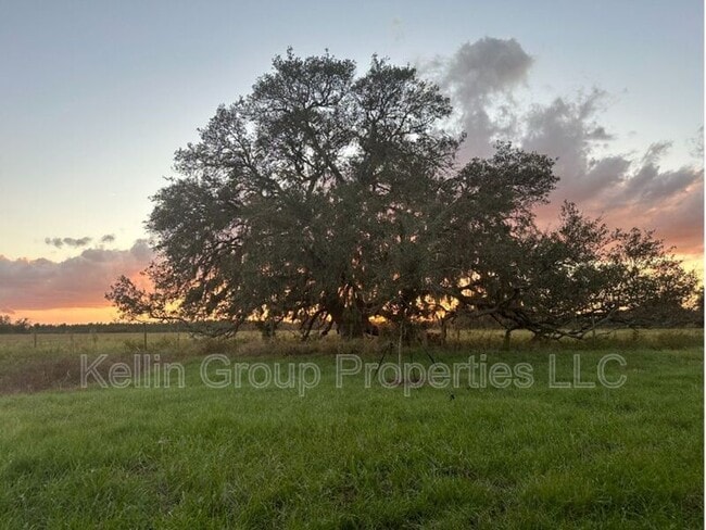 Building Photo - 833 Ambleside Dr